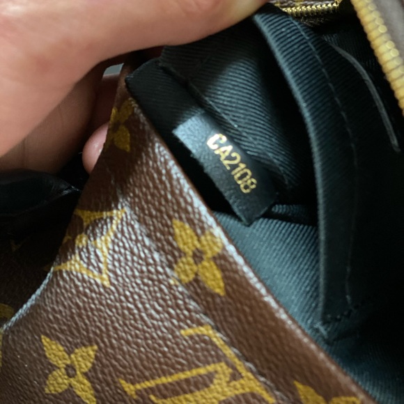 Louis Vuitton Mini Palm Springs - Picture 5 of 5